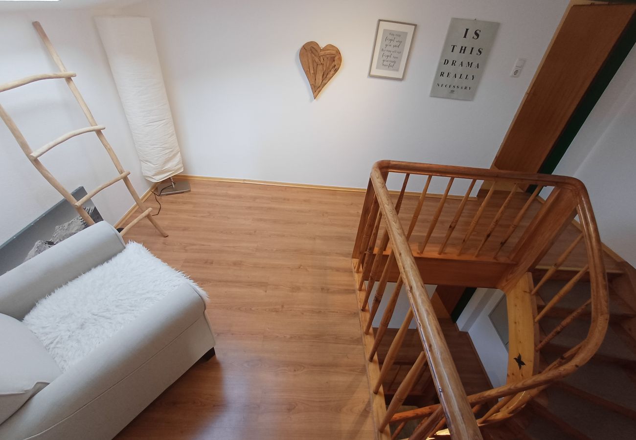 House in Zell am See - The Steinbock Lodge