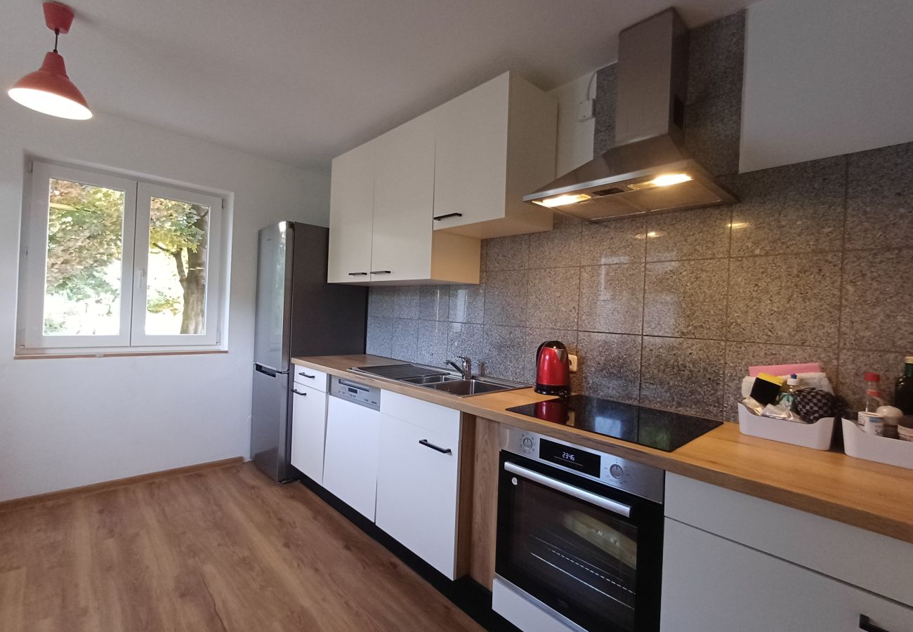 House in Zell am See - The Steinbock Lodge