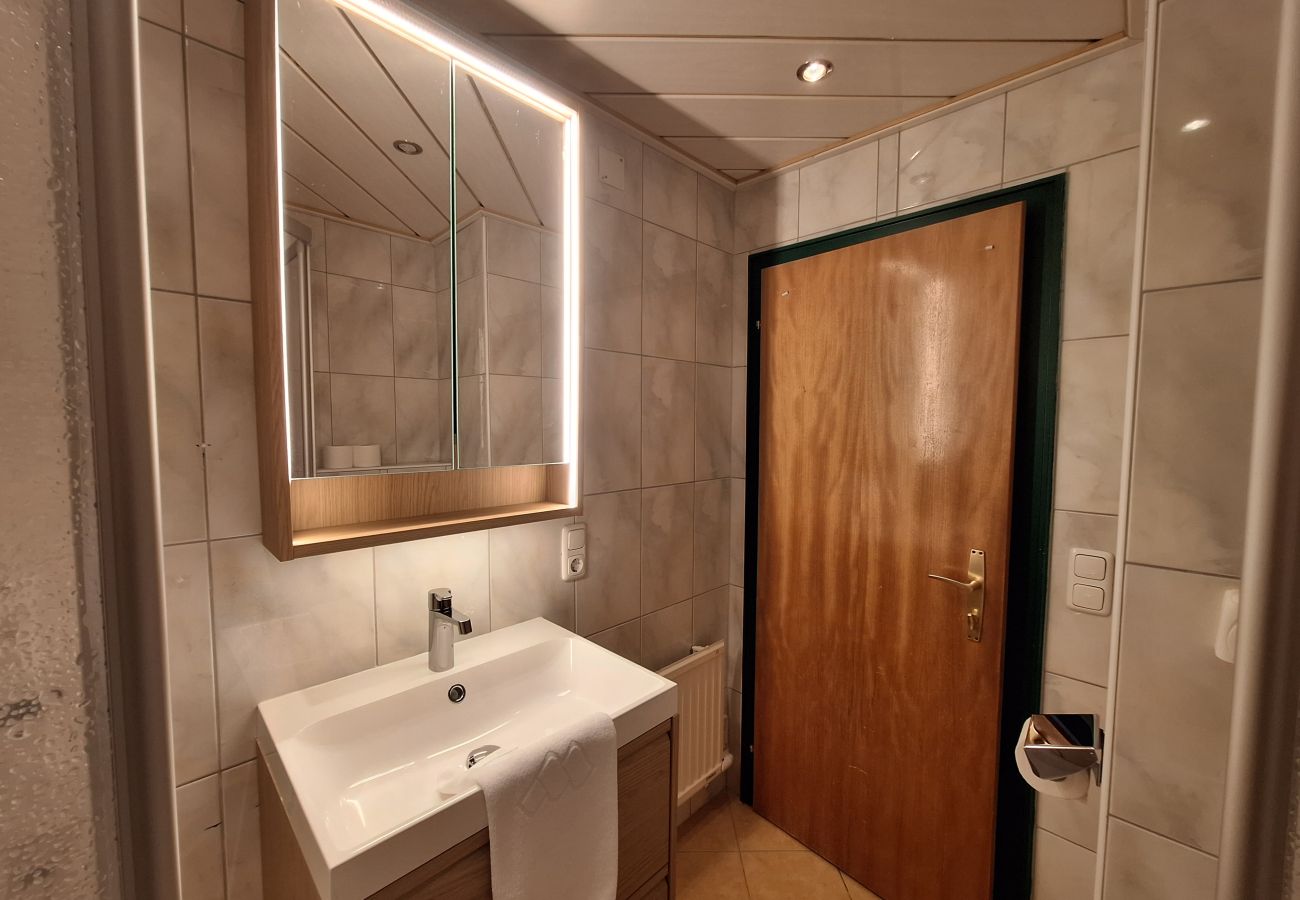 House in Zell am See - The Steinbock Lodge