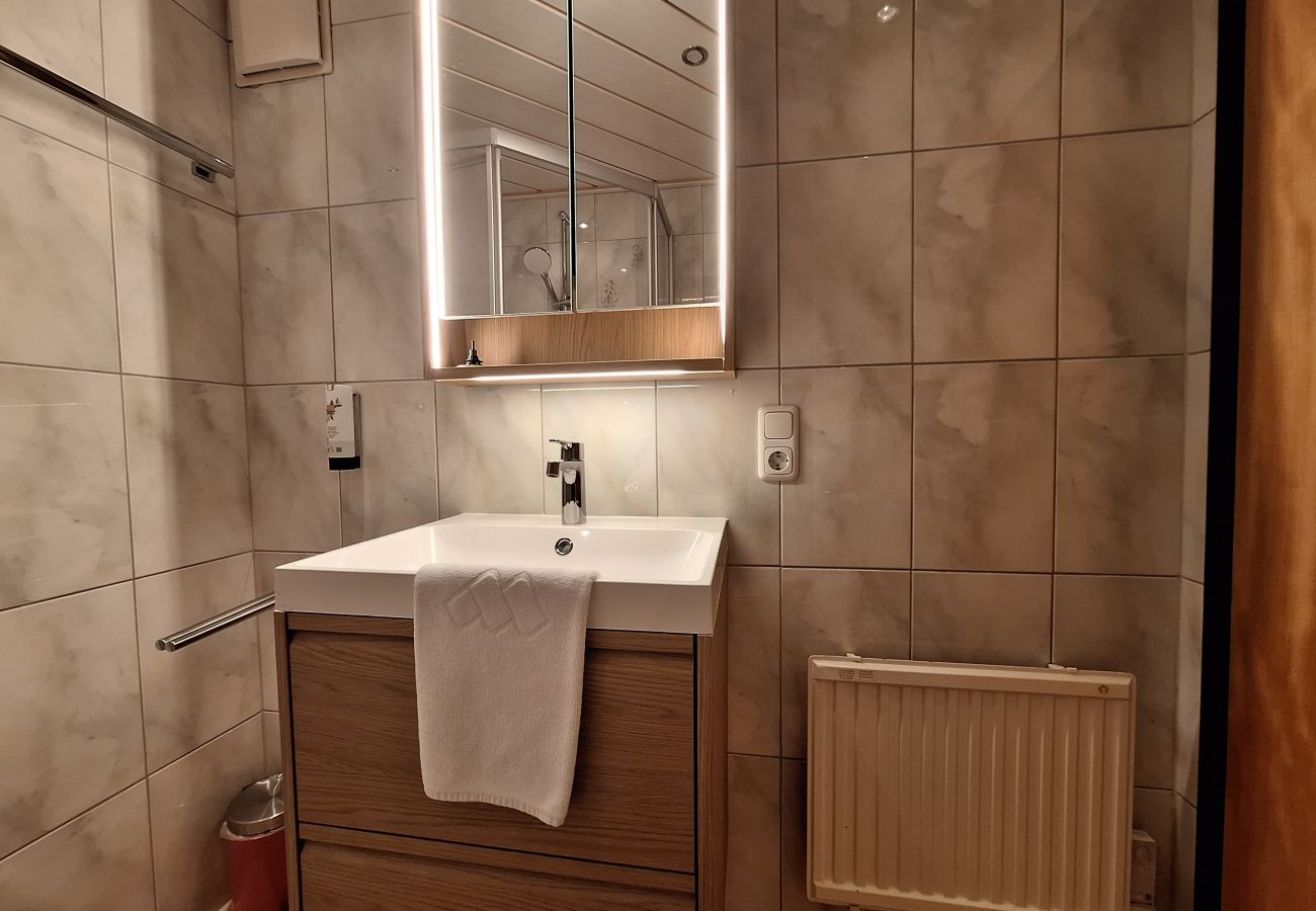 House in Zell am See - The Steinbock Lodge