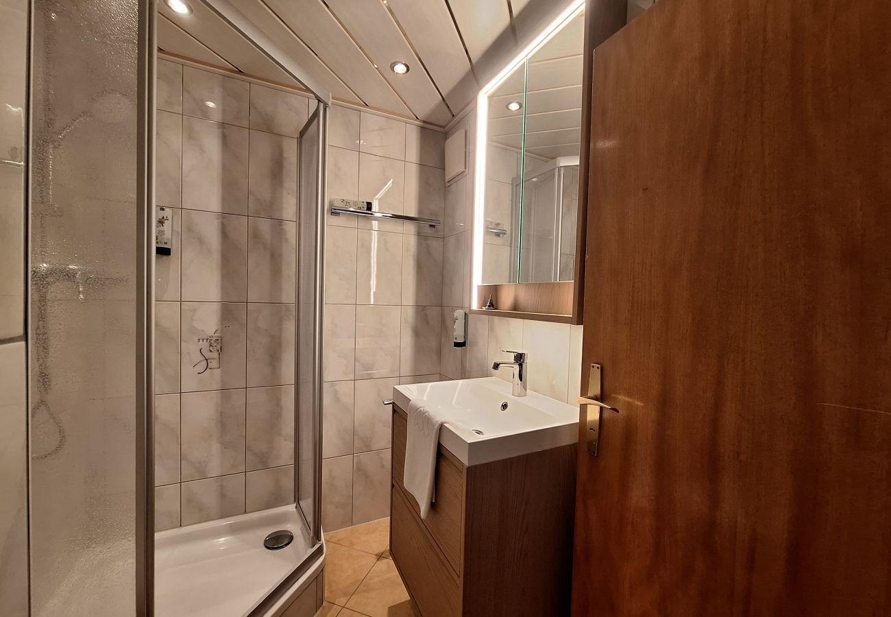 House in Zell am See - The Steinbock Lodge