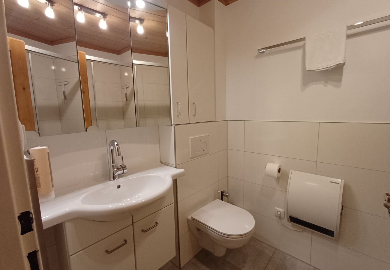 Apartment in Maishofen - Apartment Metzger mit Terrasse in Maishofen