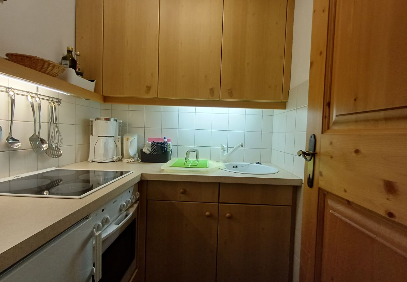 Apartment in Maishofen - Apartment Metzger mit Terrasse in Maishofen