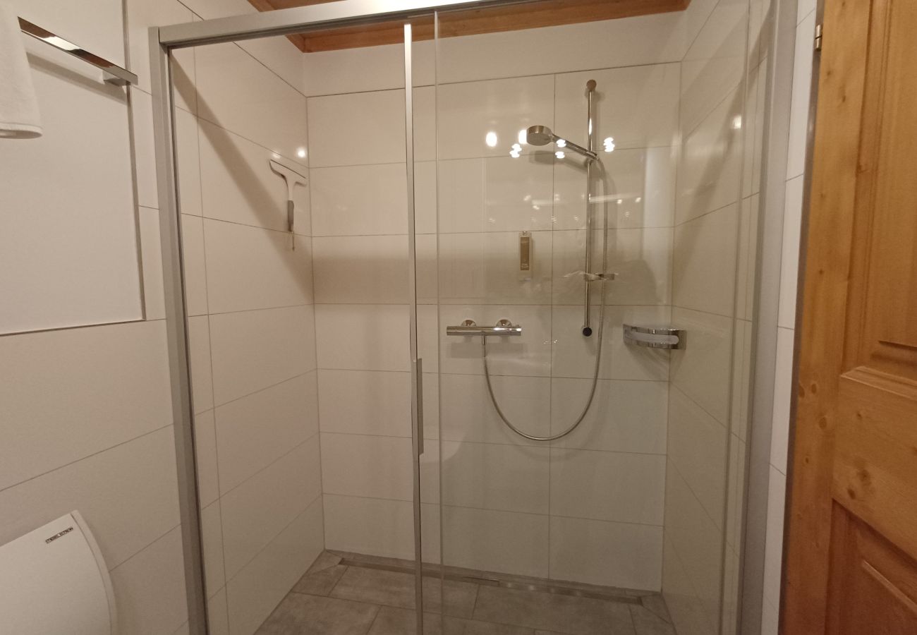 Apartment in Maishofen - Apartment Metzger mit Terrasse in Maishofen