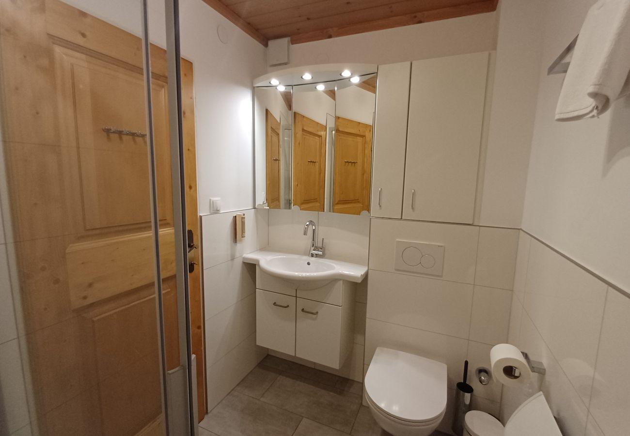 Apartment in Maishofen - Apartment Metzger mit Terrasse in Maishofen