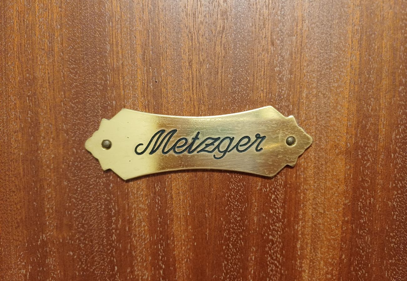 Apartment in Maishofen - Apartment Metzger mit Terrasse in Maishofen