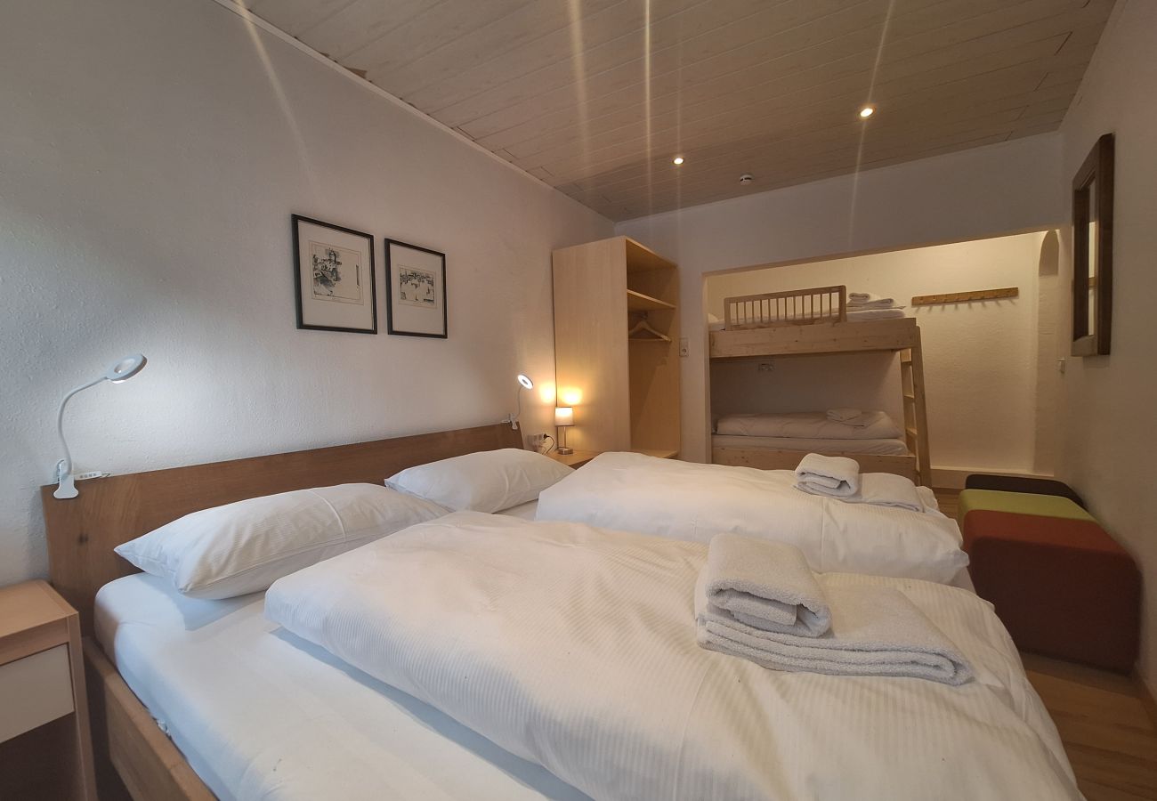 Apartment in Zell am See - Apartment Peacock, nahe Zentrum, am Skiweg