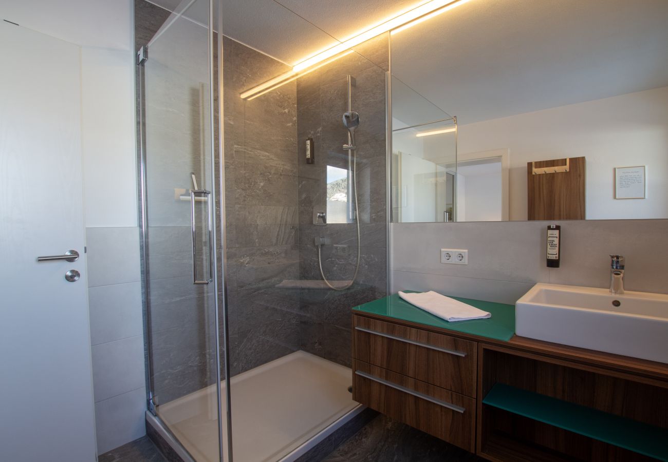 Apartment in Zell am See - Panorama App 2A am See, für max.4,free WIFI