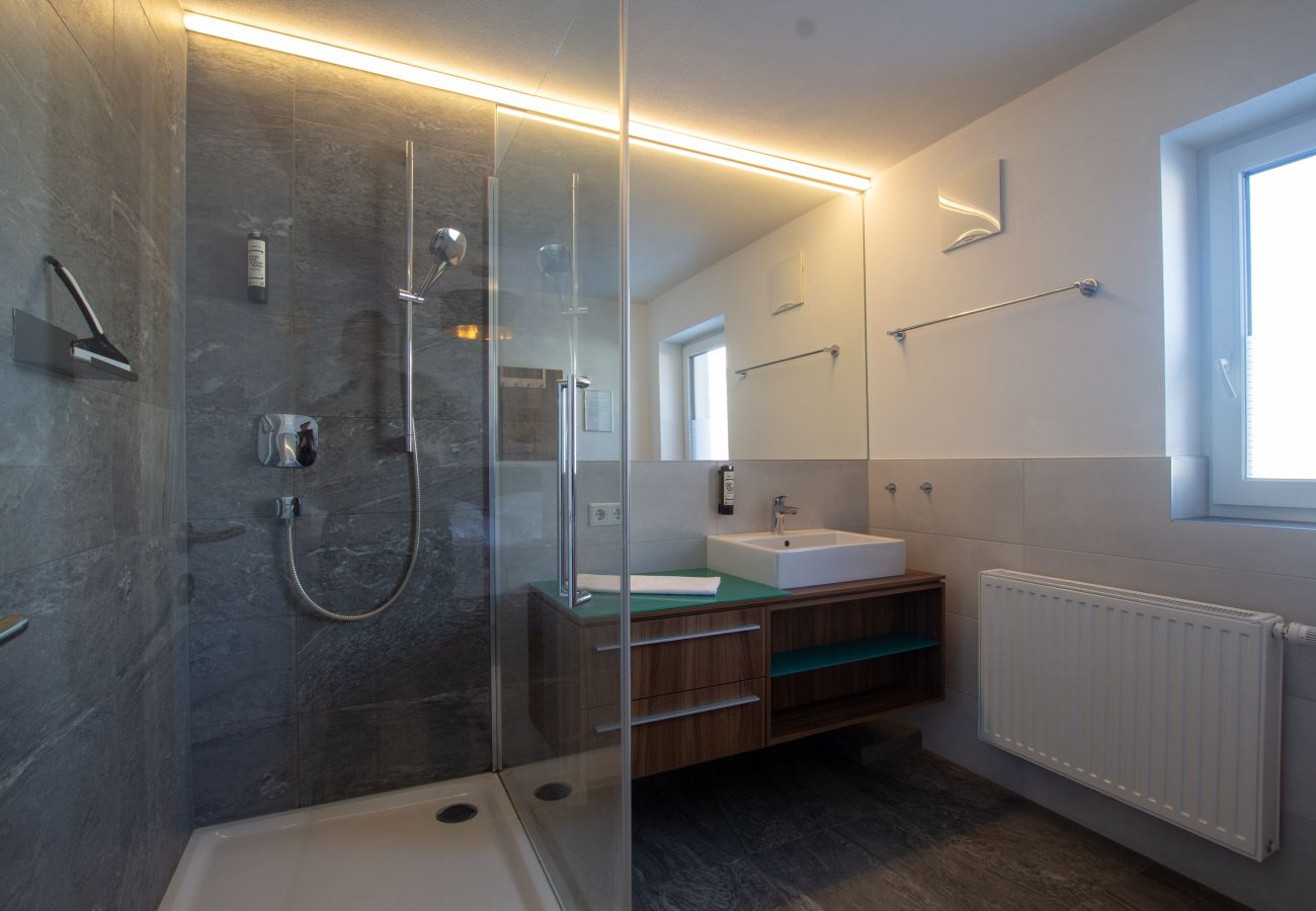 Apartment in Zell am See - Panorama App 2A am See, für max.4,free WIFI