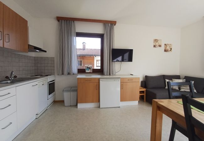 Apartment in Uttendorf - Profelt Apartment A, für 5, zentrale Lage