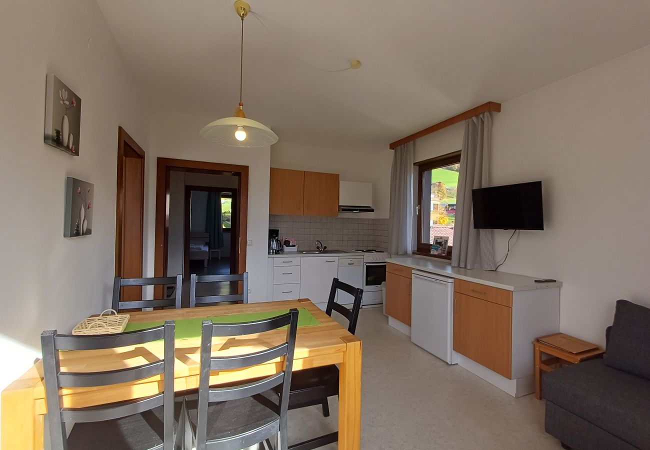 Apartment in Uttendorf - Profelt Apartment A, für 5, zentrale Lage