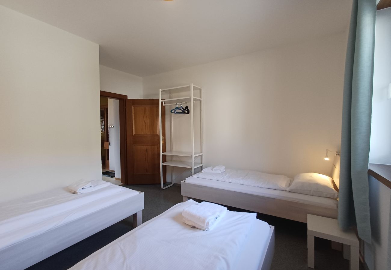 Apartment in Uttendorf - Profelt Apartment A, für 5, zentrale Lage