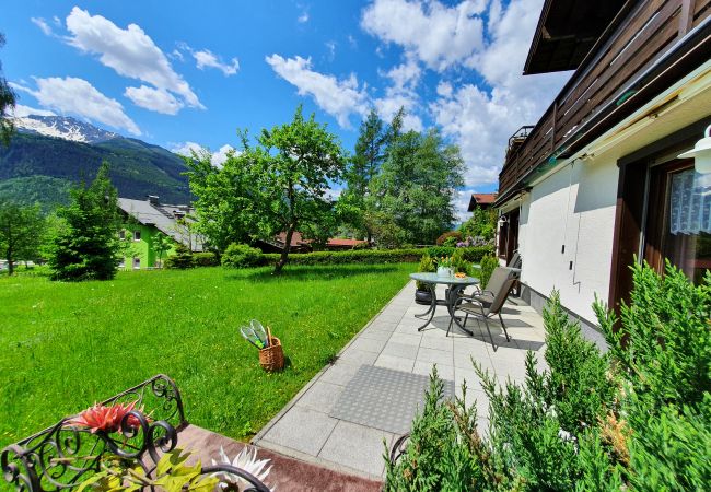 Apartment in Uttendorf - Profelt Apartment C, für 2,zentrale Lage, große Te