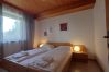 Apartment in Uttendorf - Profelt Apartment C, für 2,zentrale Lage, große Te