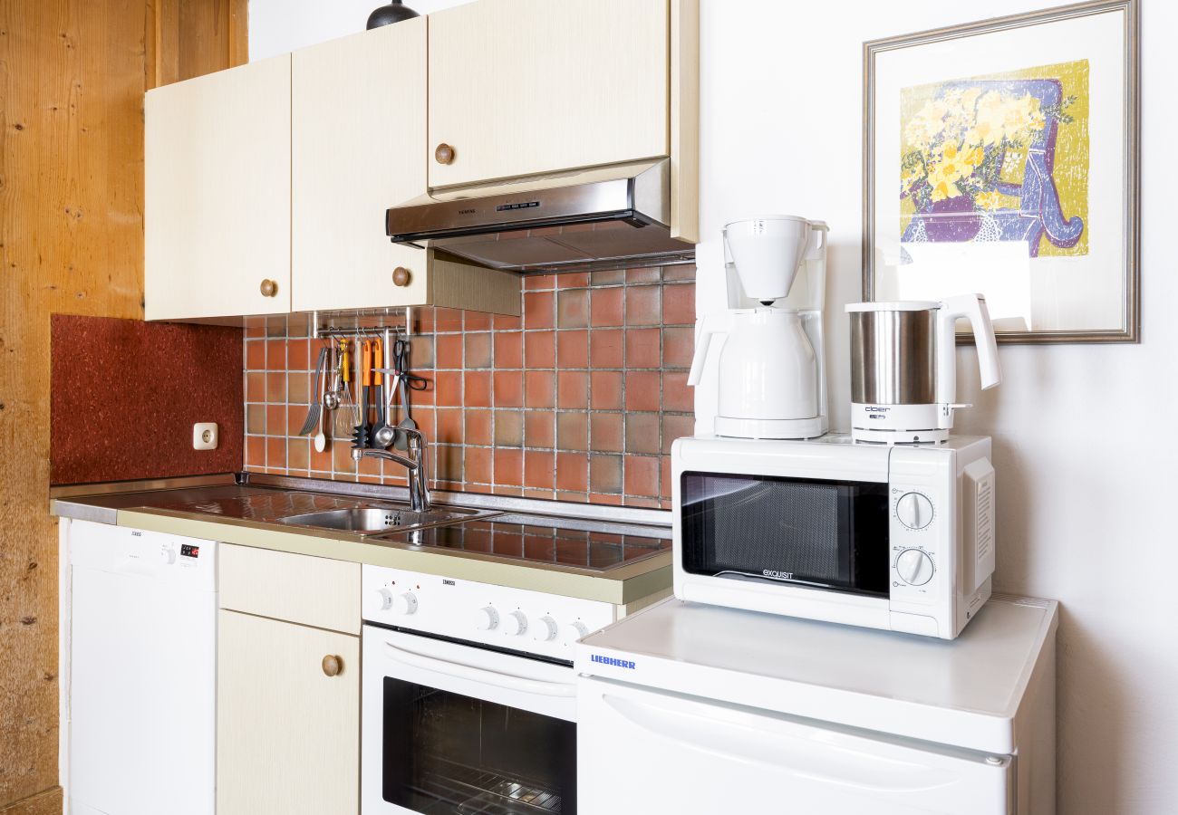 Studio in Zell am See - Waterfront Apartment 2