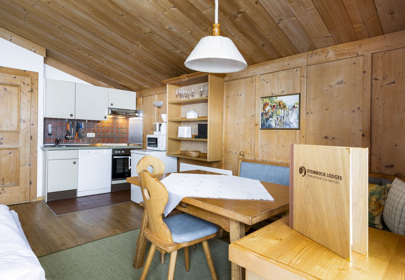 Apartment in Zell am See - Waterfront Apartment 3