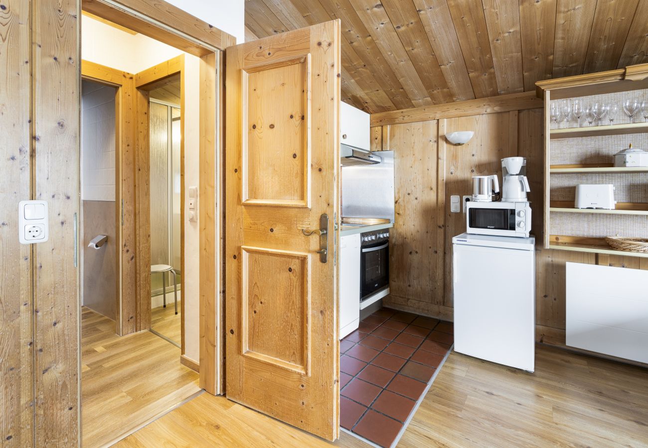 Apartment in Zell am See - Waterfront Apartment 3