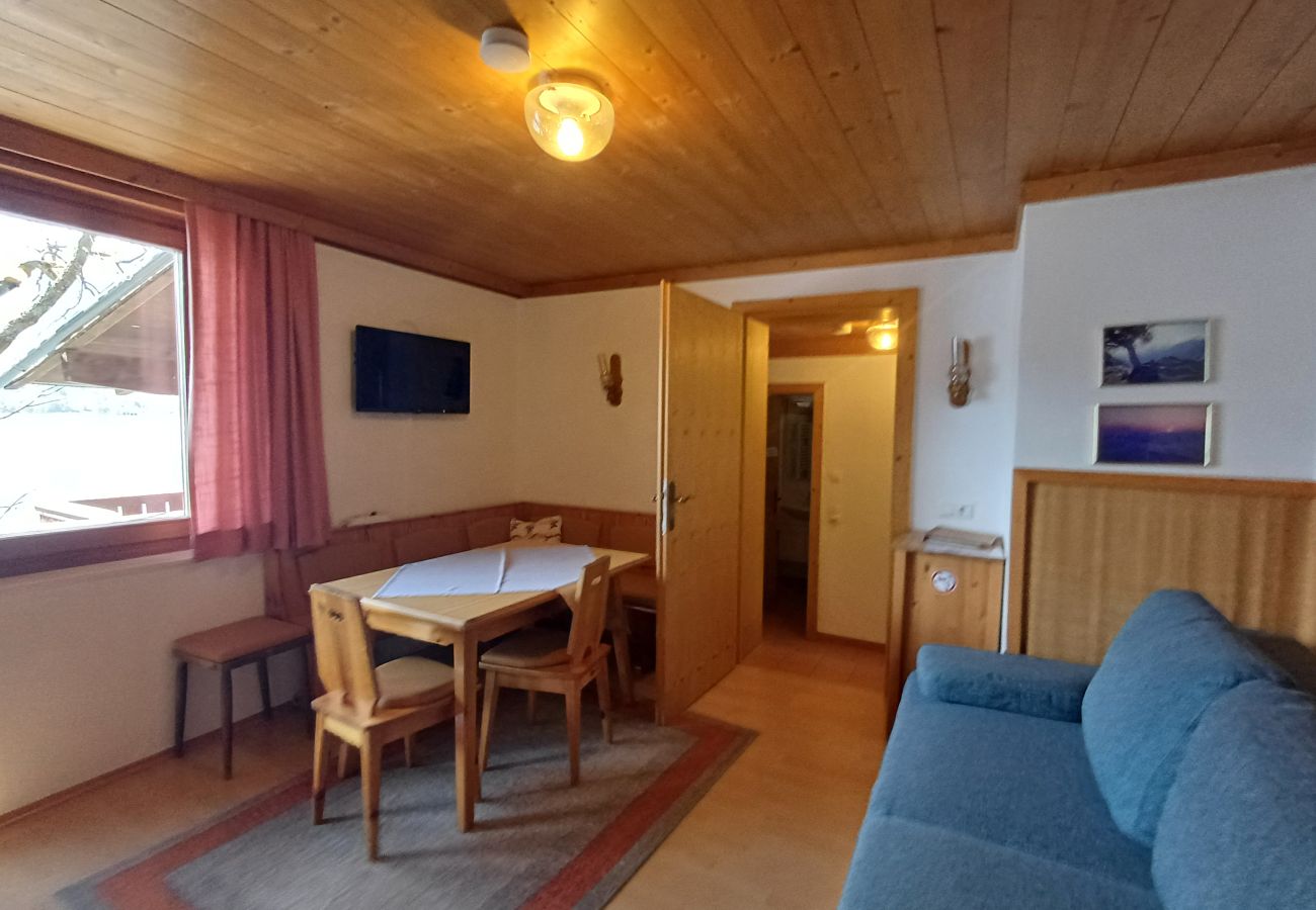 Apartment in Zell am See - Waterfront Apartment 4
