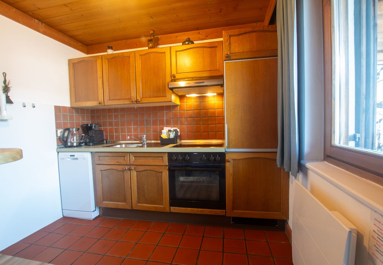 Apartment in Zell am See - Waterfront Apartment 4