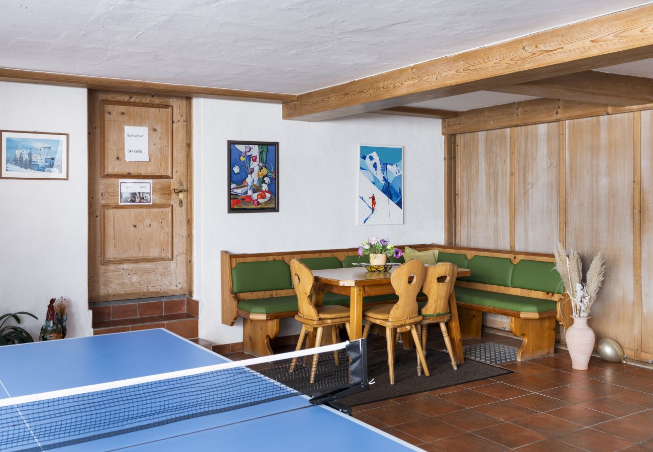 Apartment in Zell am See - Waterfront Apartment 4