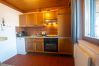 Apartment in Zell am See - Waterfront Apartment 4