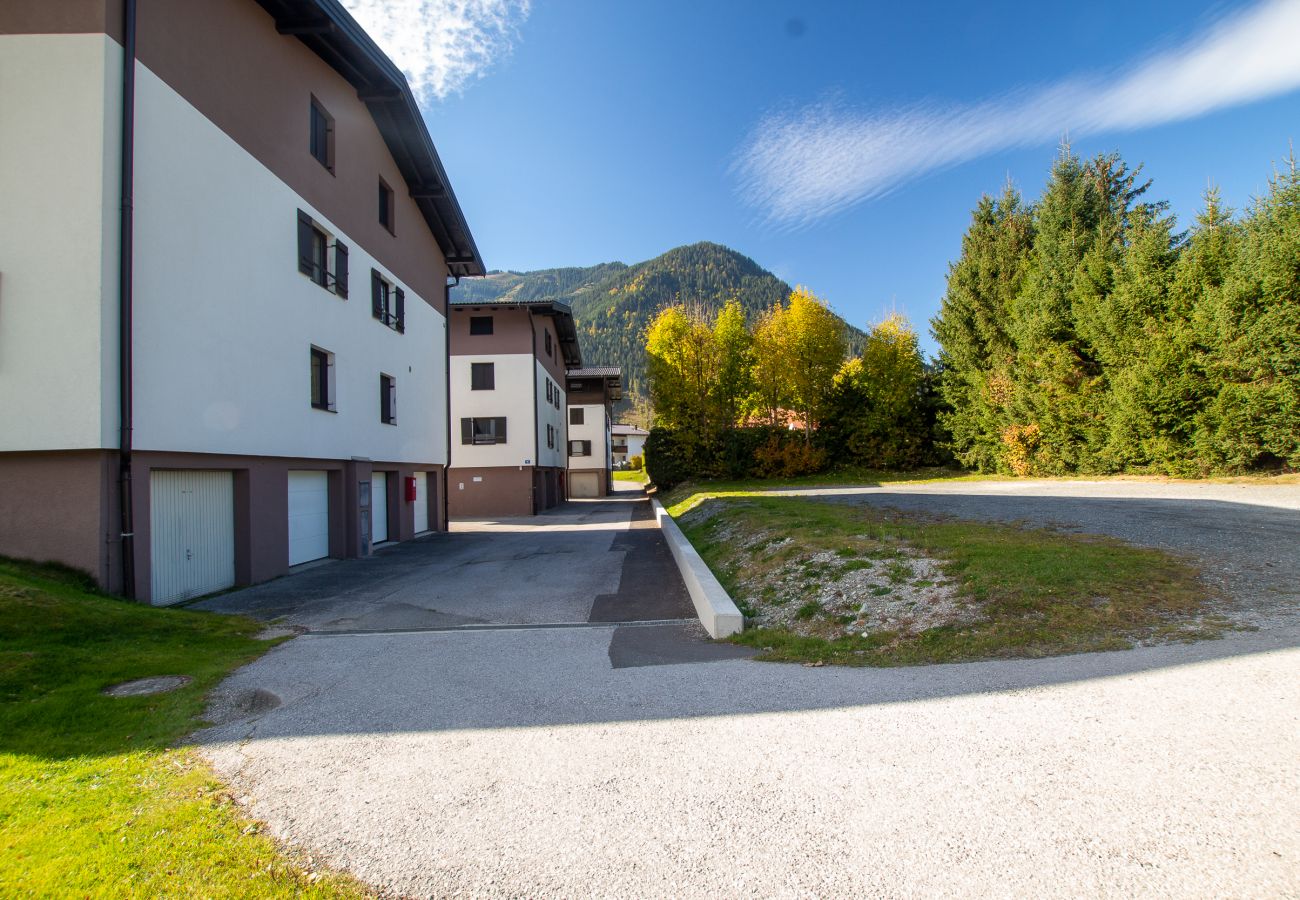 Apartment in Maishofen - Apartment Barbara Top 2 in Maishofen nähe Saalbach