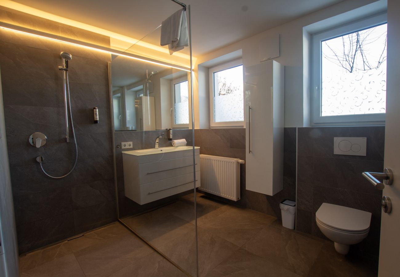 Apartment in Zell am See - Panorama App 1A Zell am See