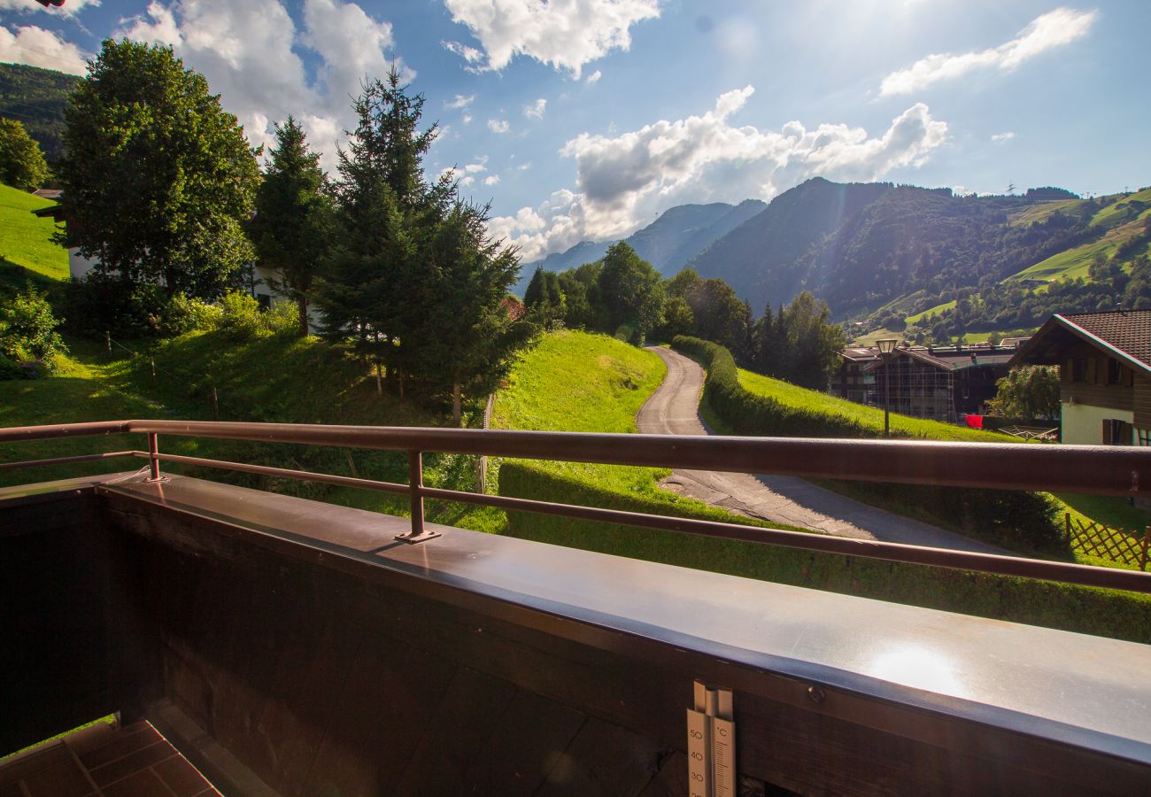 Apartment in Kaprun - Apartment Inge - downtown Kaprun