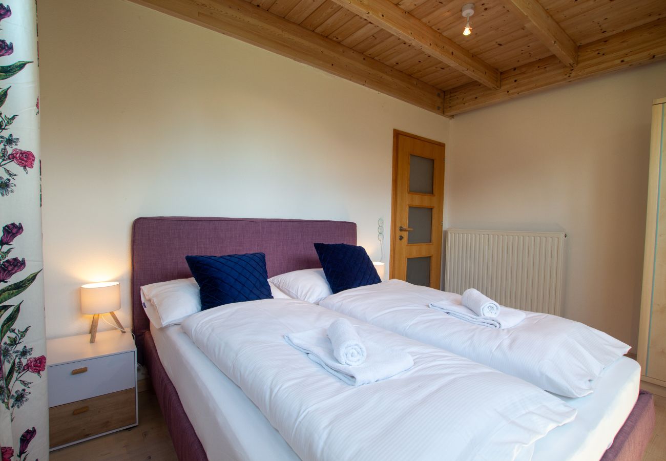 House in Taxenbach - Sonnberg Panorama Lodge Taxenbach