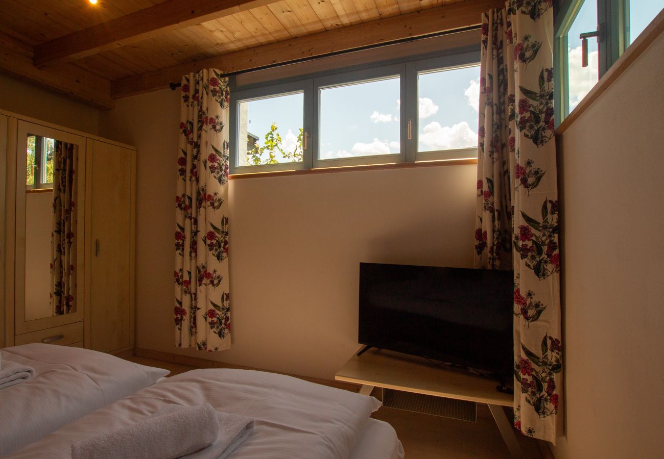 House in Taxenbach - Sonnberg Panorama Lodge Taxenbach