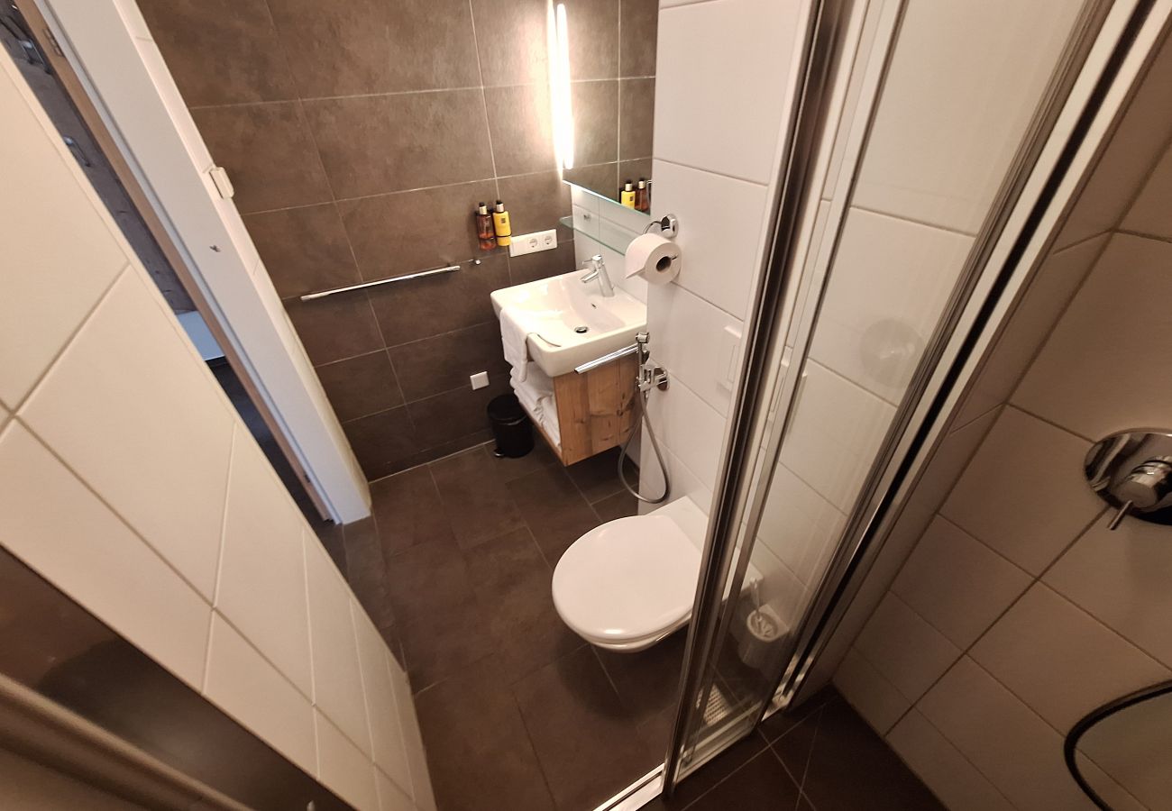 Apartment in Zell am See - Ski & Golf Apartments 6B