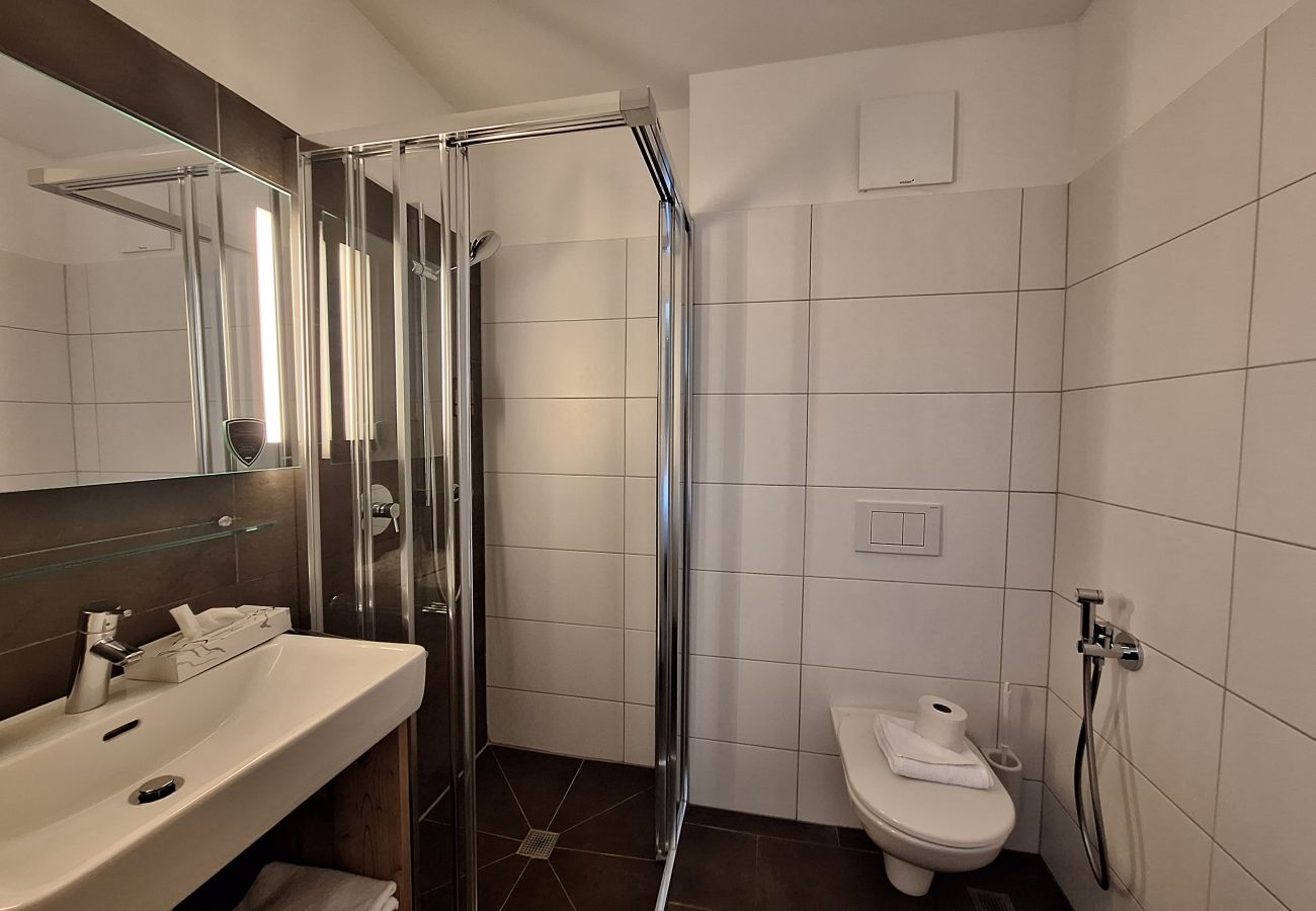 Apartment in Zell am See - Ski & Golf Apartments 6A