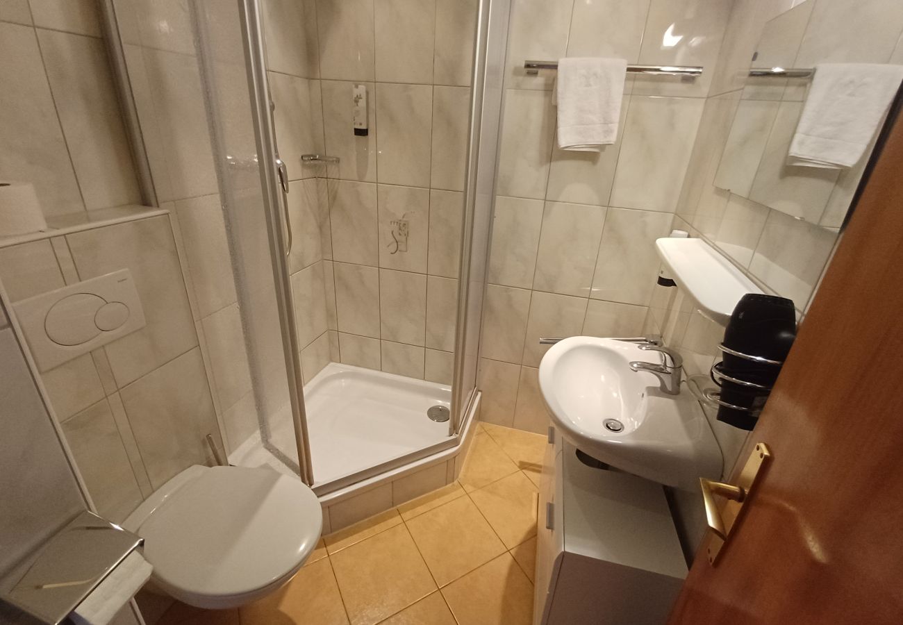 Ferienhaus in Zell am See - The Steinbock Lodge