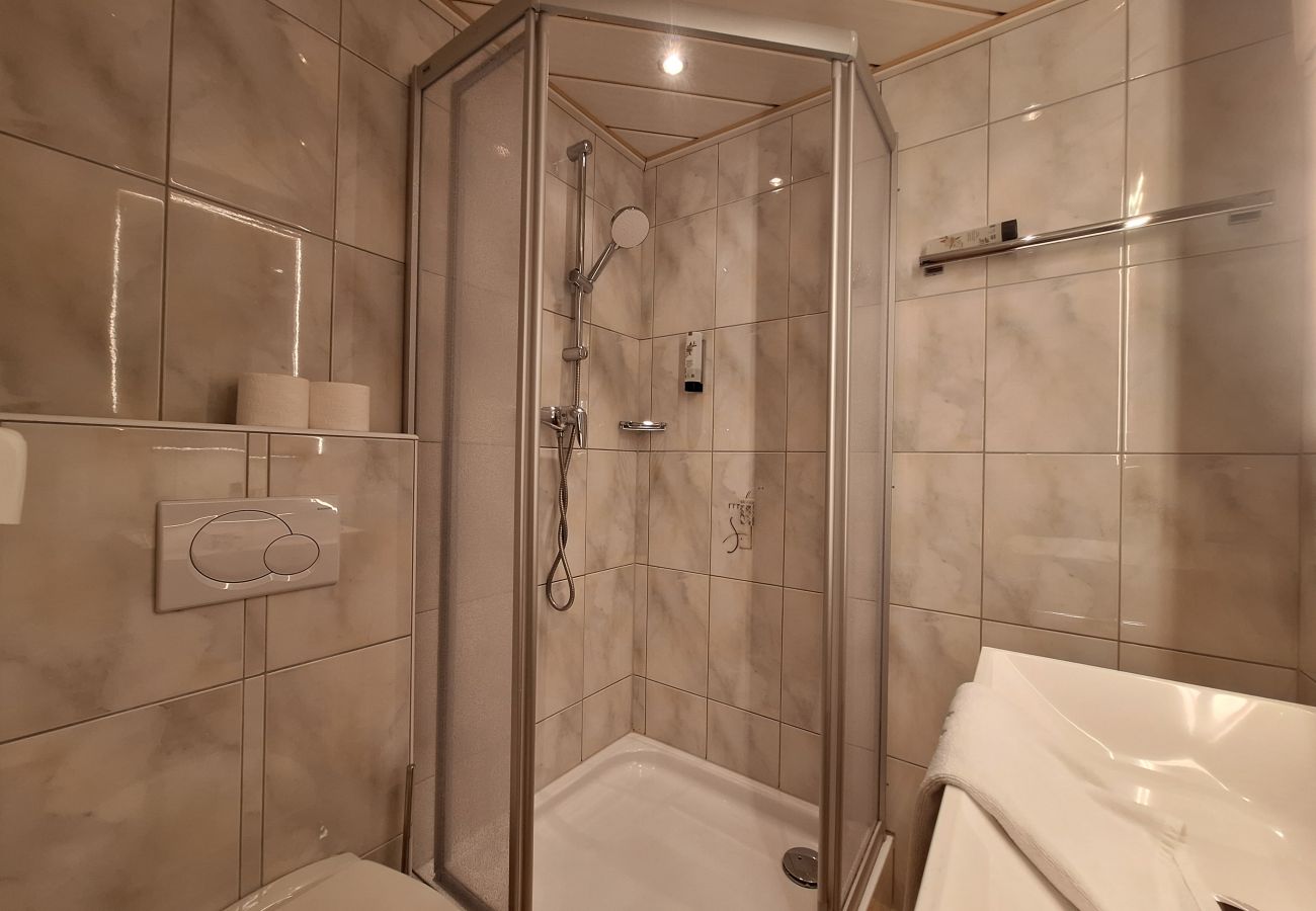 Ferienhaus in Zell am See - The Steinbock Lodge
