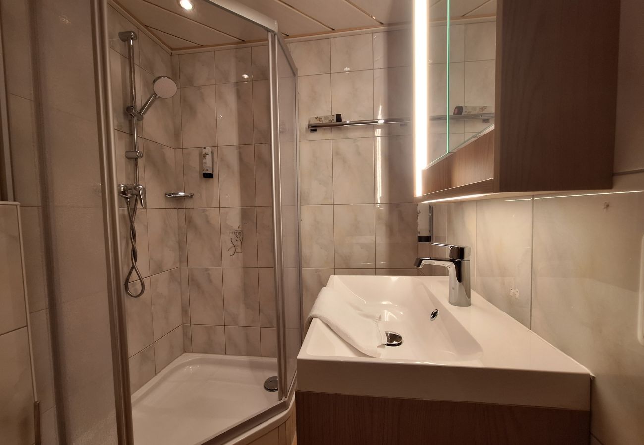 Ferienhaus in Zell am See - The Steinbock Lodge