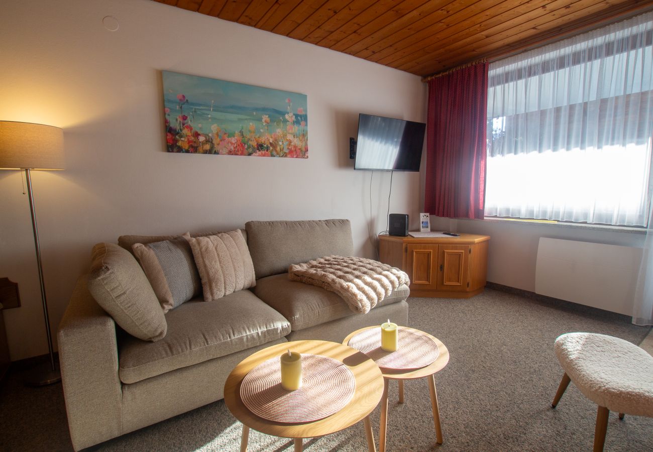 Ferienwohnung in Maishofen - Apartment Metzger mit Terrasse in Maishofen