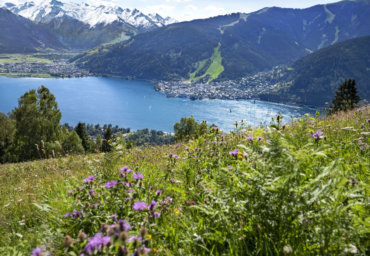 Ferienwohnung in Zell am See - Apartment Peacock, nahe Zentrum, am Skiweg