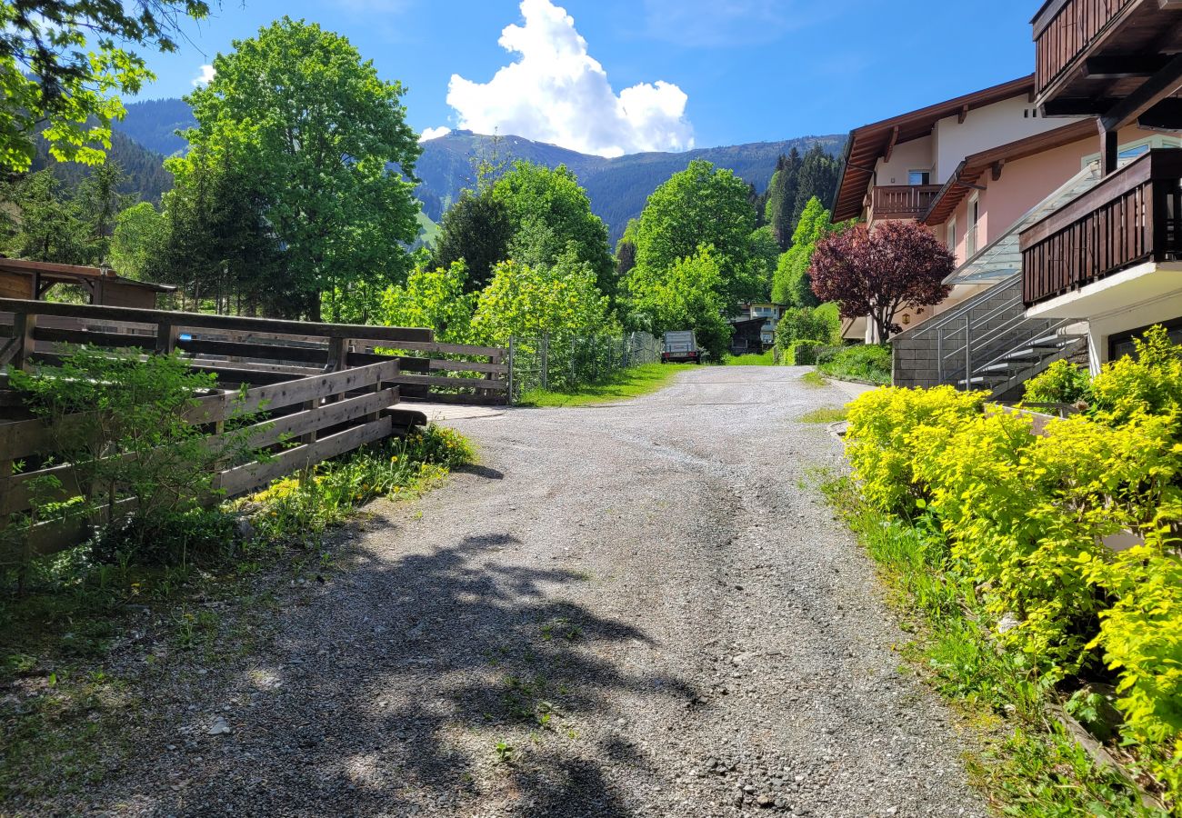 Ferienwohnung in Zell am See - Apartment Peacock, nahe Zentrum, am Skiweg