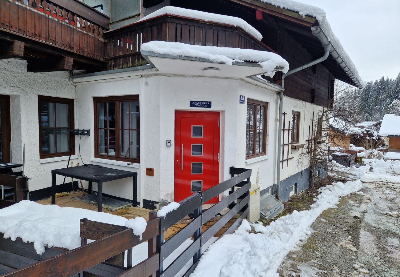 Ferienwohnung in Zell am See - Apartment Peacock, nahe Zentrum, am Skiweg