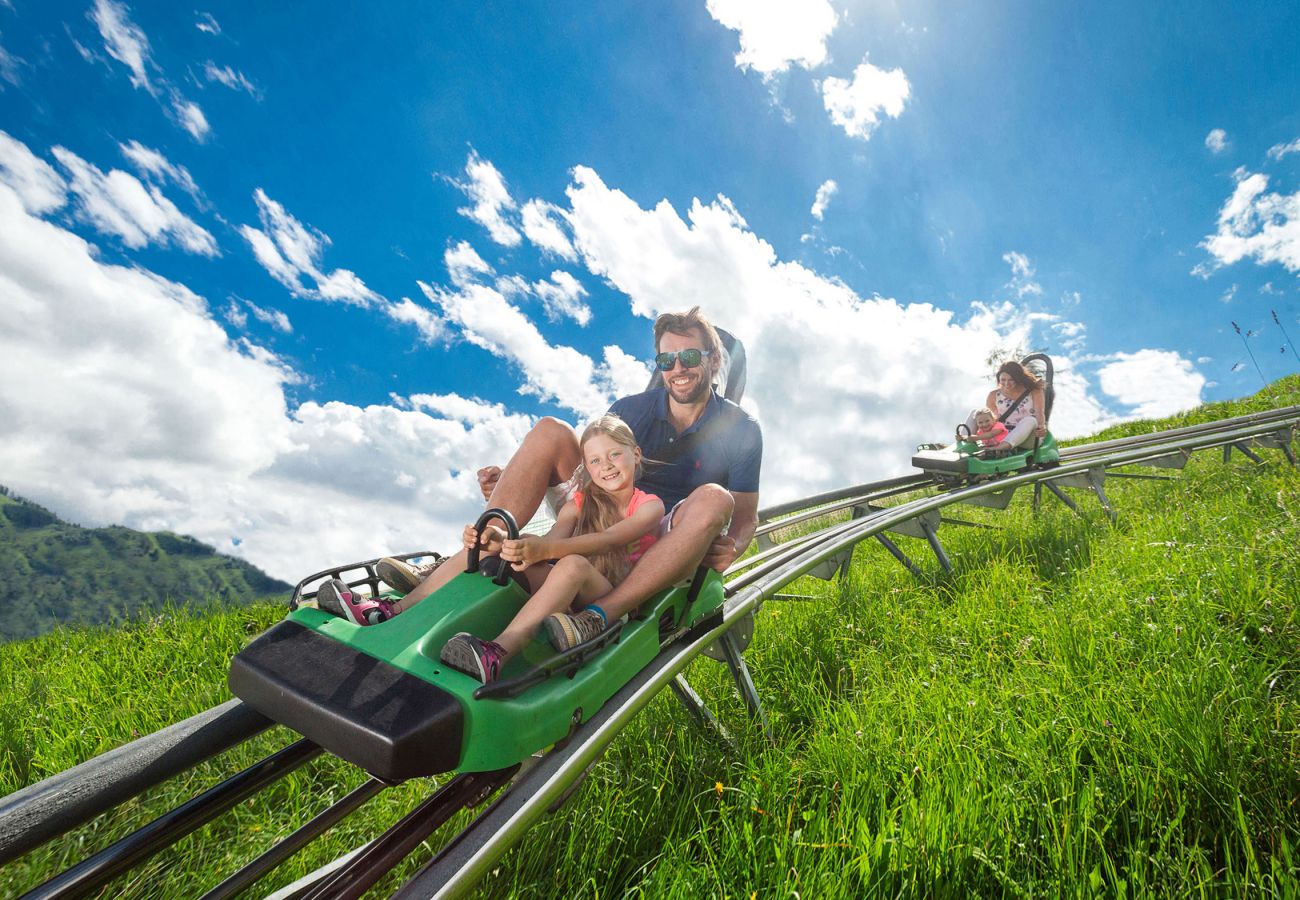 Ferienhaus in Kaprun - Falcon Lodge Kaprun nähe Gletscher und Zentrum