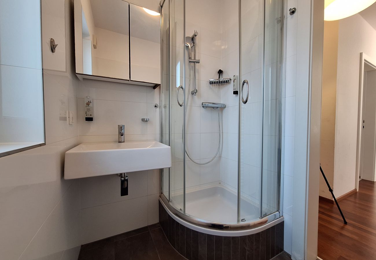 Ferienhaus in Kaprun - Falcon Lodge Kaprun nähe Gletscher und Zentrum