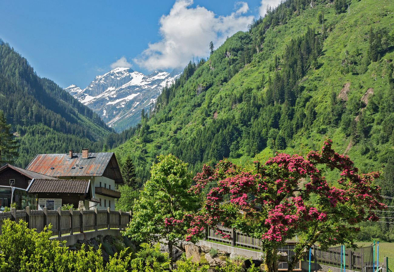 Chalet in Uttendorf - Lodge Adlerhorst 178 im Tauerndorf Enzingerboden