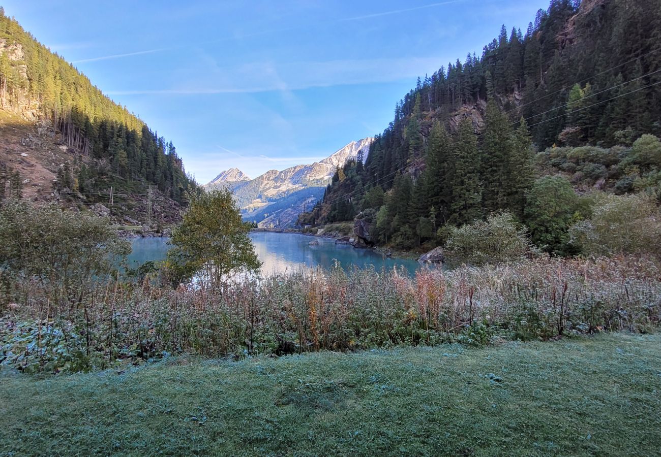 Chalet in Uttendorf - Lodge Seeblick 161 im Tauerndorf Enzingerboden