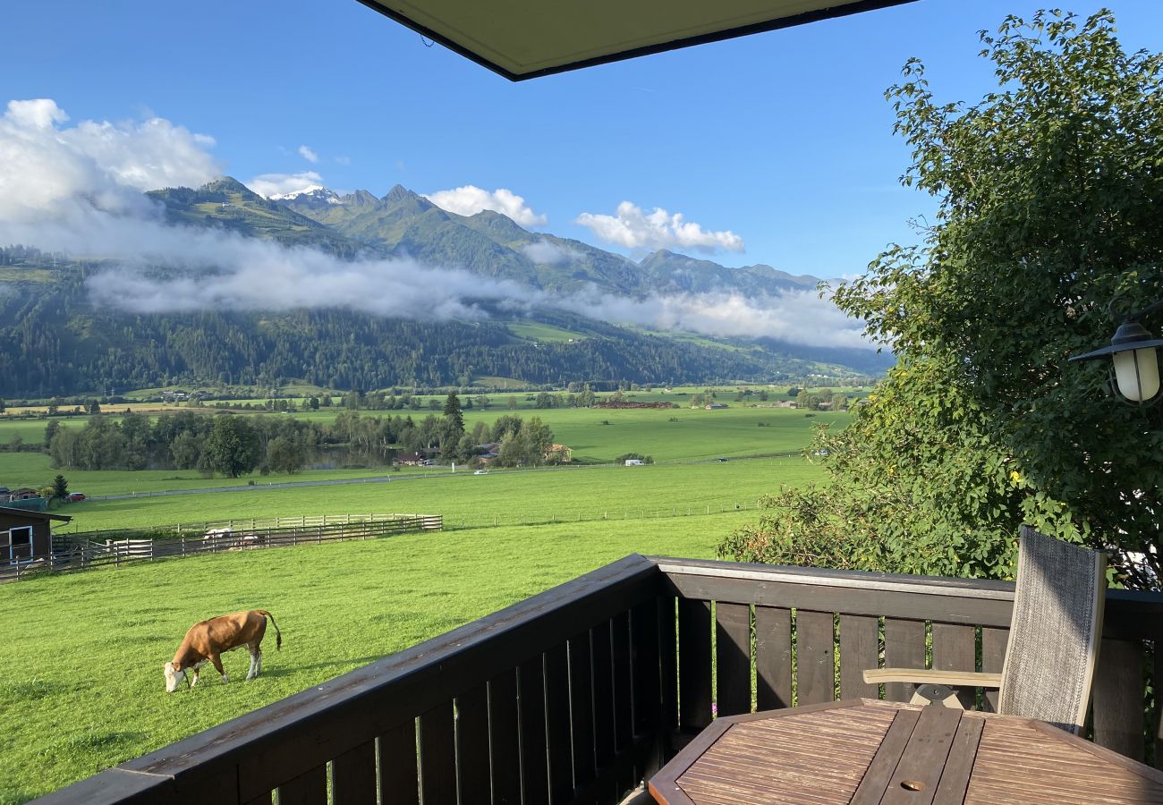 Aussicht auf Berge und grasende Kühe vom Balkon vom Mountain View apartment in Kaprun in Österreich an einem sonnigen Tag