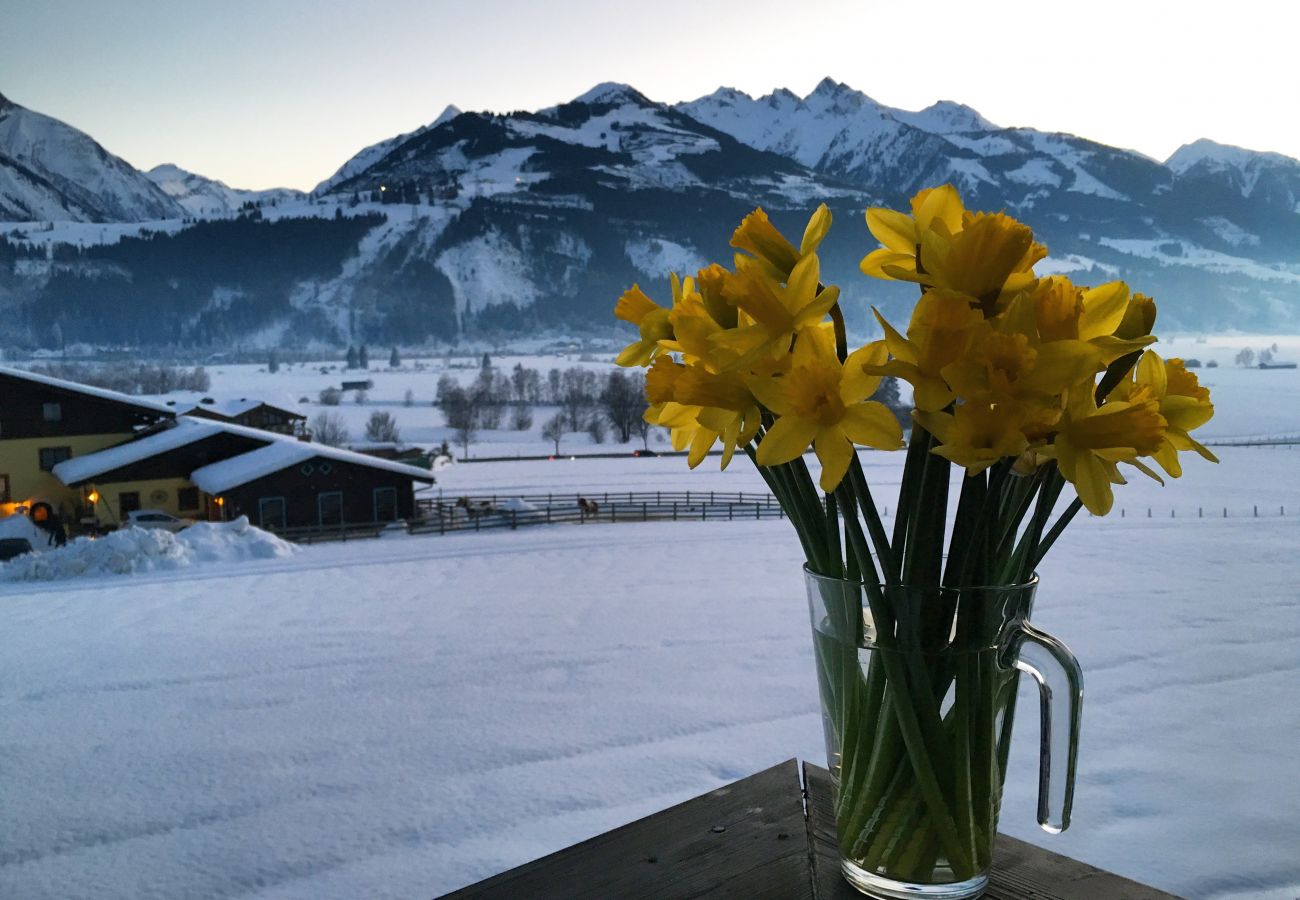 Blumen am Balkon von Mountain View apartment in Kaprun, Österreich mit schneebedeckten Bergen im Hintergrund