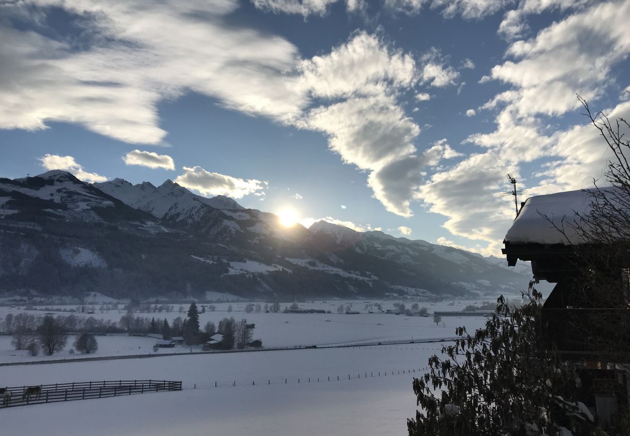 Ferienwohnung in Piesendorf - Mountain View Home, 2-4 Personen, toller Ausblick