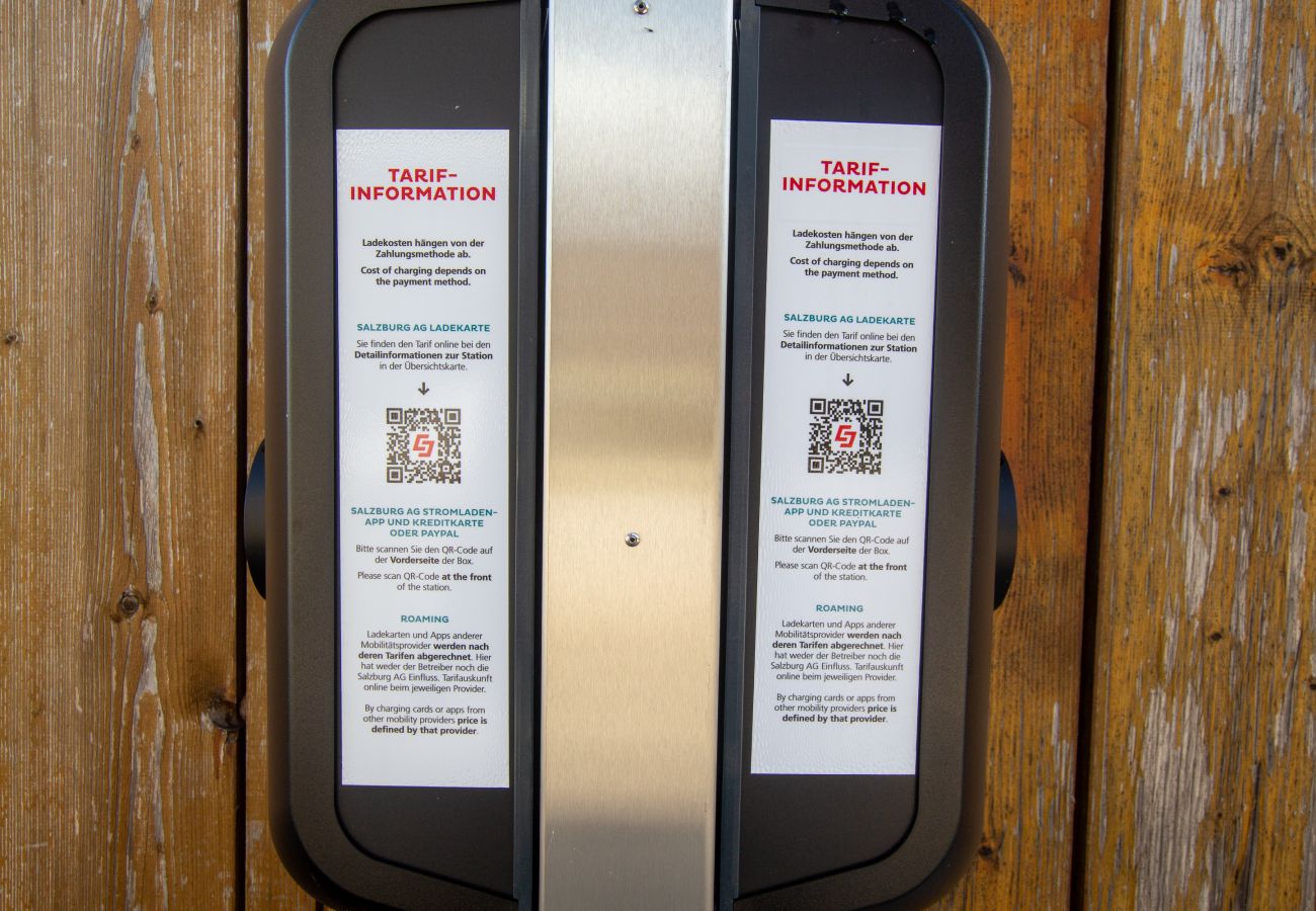 Ferienwohnung in Zell am See - Panorama App 2A am See, für max.4,free WIFI