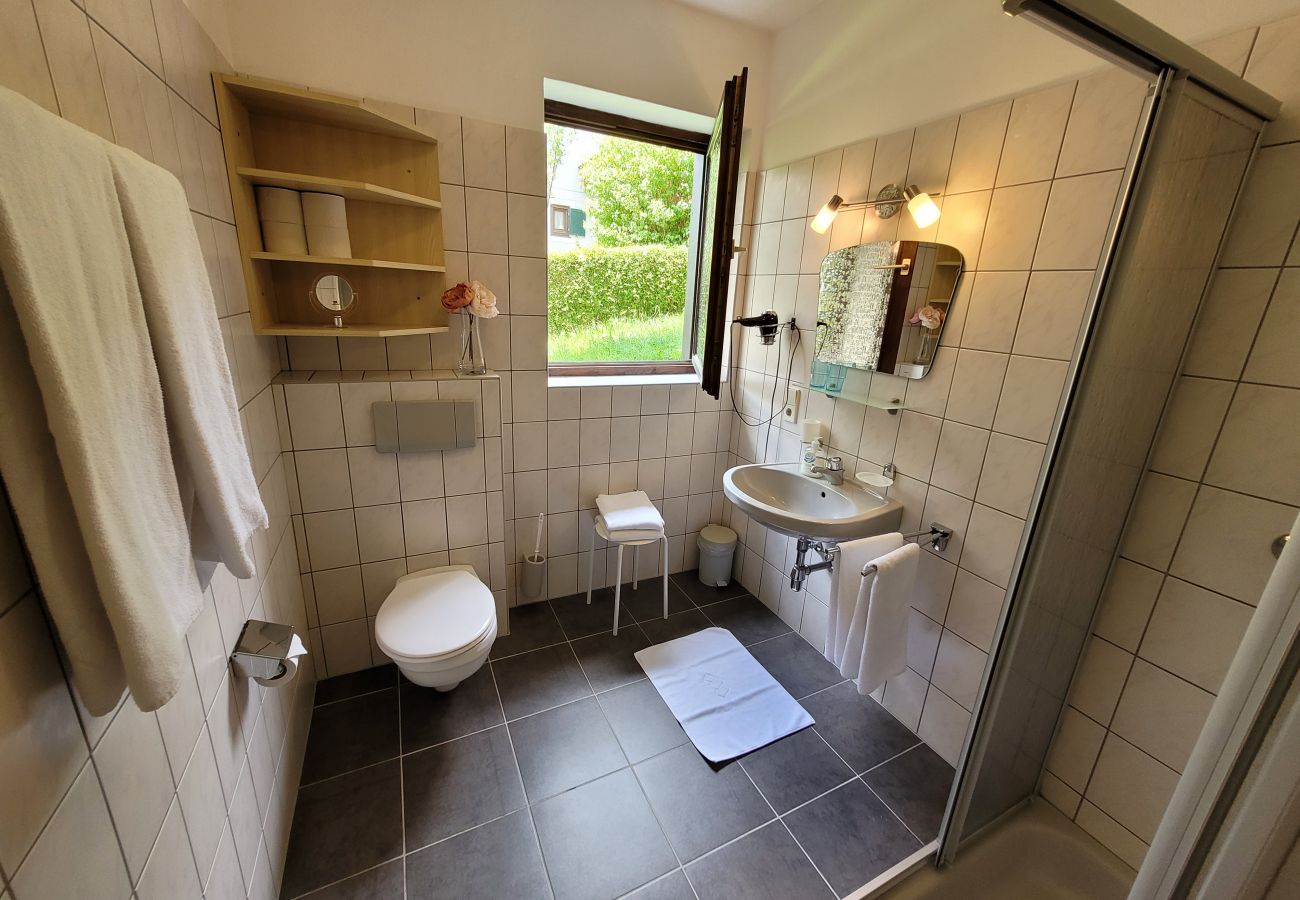 Ferienwohnung in Uttendorf - Profelt Apartment B, für 4,zentrale Lage, große Te