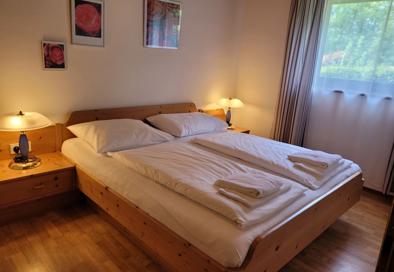 Ferienwohnung in Uttendorf - Profelt Apartment B, für 4,zentrale Lage, große Te