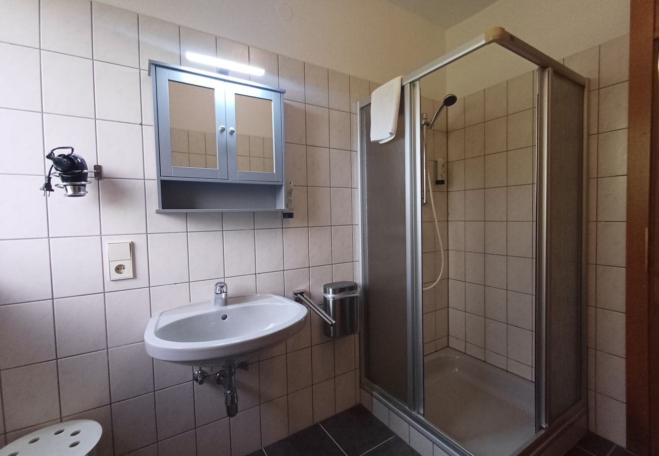 Ferienwohnung in Uttendorf - Profelt Apartment B, für 4,zentrale Lage, große Te